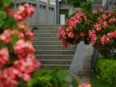-王借岗森林公园
