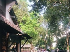 -乌镇东栅景区