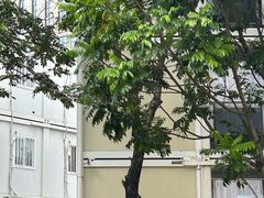 -深圳大学(丽湖校区)
