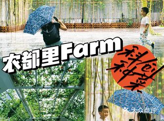 遛娃科普一条龙•科创室内种菜｜花城汇【农都里Farm】