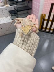 -Moni星球萌宠·小马宝莉·灵蛇·高端高阶全萌宠互动体验俱乐部(红豆国际广场店)