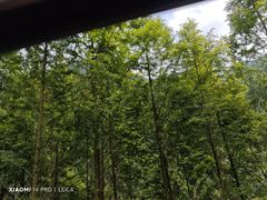 -崇州九龙峡漂流