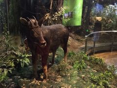 -陕西自然博物馆