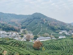 -龙井村