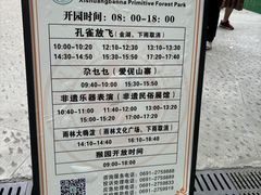 -西双版纳原始森林公园