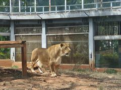 -昆明动物园