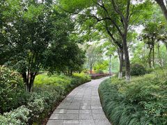 -西溪国家湿地公园