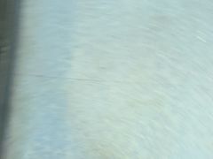 -醉炫音速烧烤·干煸菜(沙河总店)