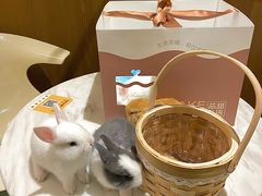 -大象厨房(重庆道店)