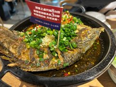 -聚鑫朋酸菜肥肠(文艺路口店)