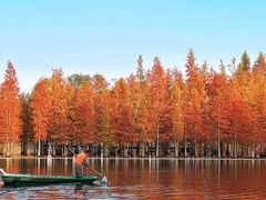 -白鹭湾湿地公园