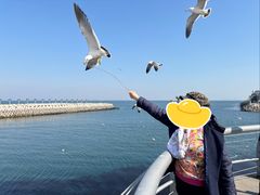 -东港音乐喷泉广场