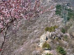 -北京鹫峰国家森林公园