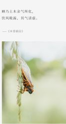 -姜美堂·蒸姜除湿の纤体美颜馆