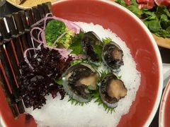 -红鼎豆捞·专注品质海鲜20年(宝丰路店)