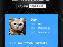 -宠颐生嘉德动物医院