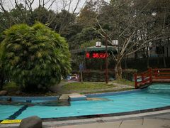 -灵秀温泉