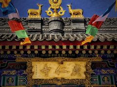 -大慈恩寺(大雁塔)