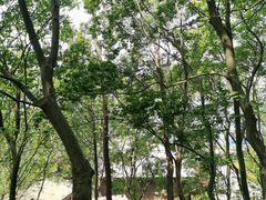 -南京金牛湖风景区