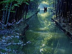 -同里国家湿地公园