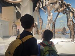 -国家自然博物馆