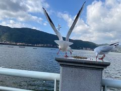 -海埂大坝