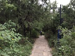-百泉景区