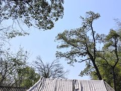-石燕湖生态旅游景区