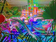 -南宫五洲植物乐园