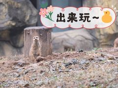 -红山森林动物园