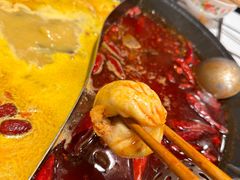 -朱光玉火锅馆(正弘城店)