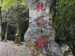 -龙井村