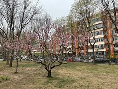 -南长河公园