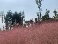 -嘉北郊野公园