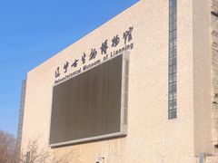 -辽宁古生物博物馆