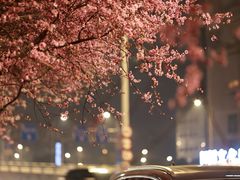 -重庆市江北嘴中央商务区中央公园