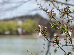 -上海辰山植物园