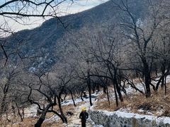 -阳台山自然风景区