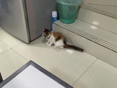 -好面道大肠面(中华路店)