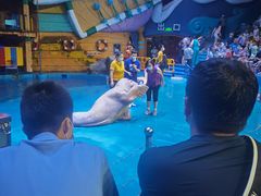 -烟台海昌鲸鲨海洋公园