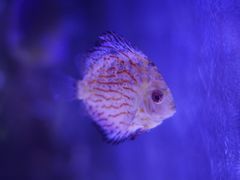 -梦幻海洋王国(吾悦广场张家港店)