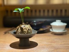 -阿强家川菜·29年老字号(岗顶店)