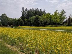 -北坞公园