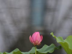 -裕华世纪公园