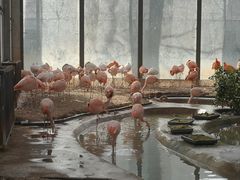 -北京动物园