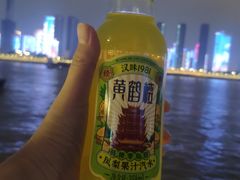 -武汉两江游览·夜游长江(汉口粤汉码头)
