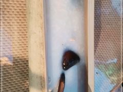 -火咂咂竹筒宴(告庄店)