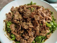 香菜牛肉-山南熏肉大饼(辽菜旗舰店)