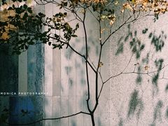 景观位-喜茶(深圳欢乐海岸LAB店)