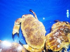 -三亚火车头万人海鲜广场